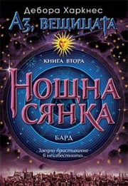 Нощна сянка